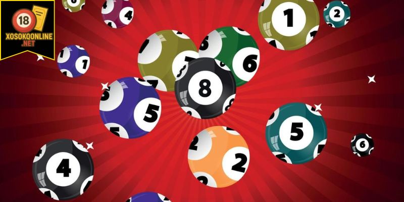 Giải thích bạch thủ lô là gì?
