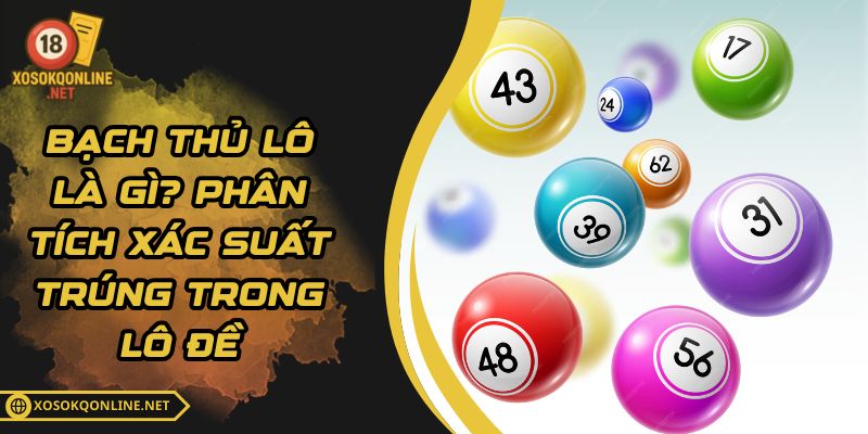 Bạch Thủ Lô Là Gì? Phân Tích Xác Suất Trúng Trong Lô Đề
