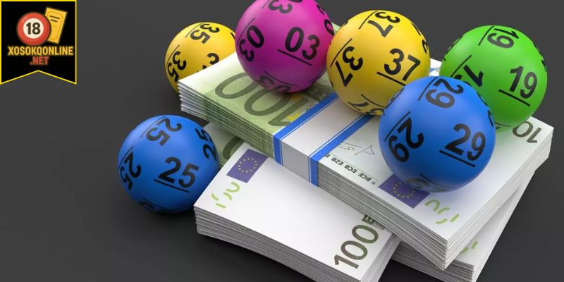Bí quyết nuôi lô lập kế hoạch bài bản