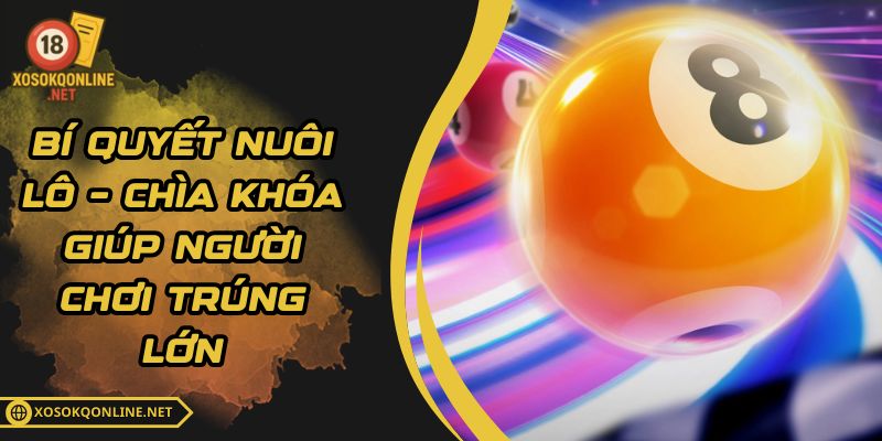 Bí Quyết Nuôi Lô – Chìa Khóa Giúp Người Chơi Trúng Lớn