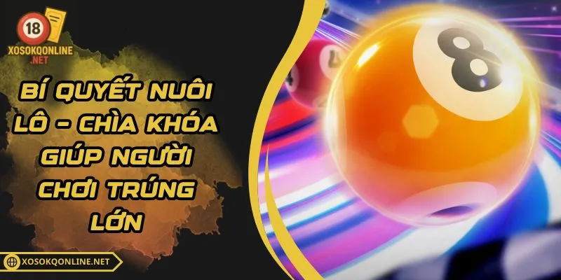 Bí Quyết Nuôi Lô – Chìa Khóa Giúp Người Chơi Trúng Lớn