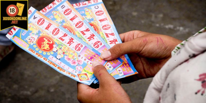 Các hạng mục giải thưởng chính
