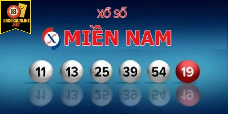Cách mua trực tiếp và online